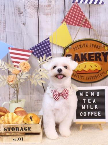 20240922うるちゃん